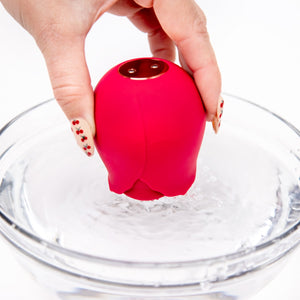 Suction Vibrators